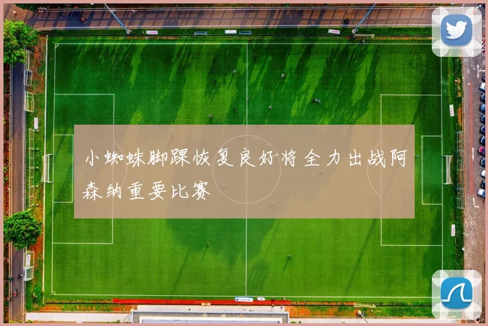 小蜘蛛脚踝恢复良好将全力出战阿森纳重要比赛