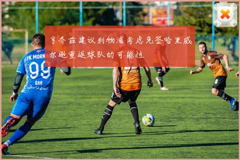 亨乔兹建议利物浦考虑免签哈里威尔逊重返球队的可能性